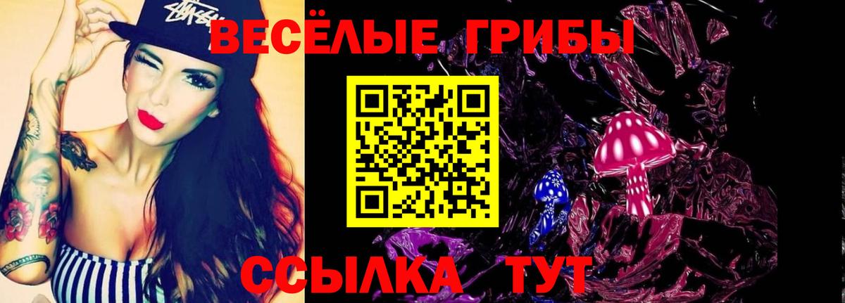 Котлас  где купить наркоту  Псилоцибиновые грибы мухоморы  Вход с VPN  Псилоцибиновые грибы Magic Shrooms 